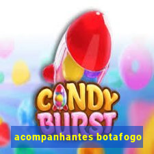 acompanhantes botafogo